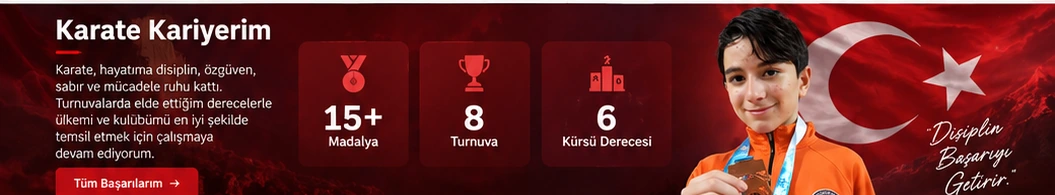 Karate kariyerim; örnek kariyer istatistiklerini içeren örnek görsel; bu sayılar doğrulanmış değildir